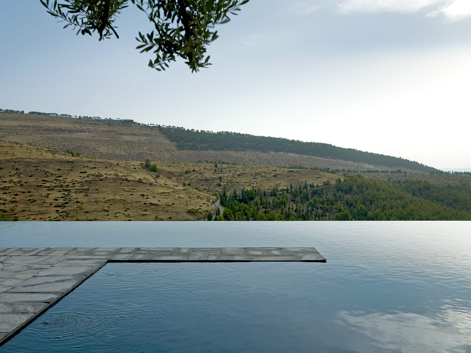 Infinity pool meeting the wooded hills, Villa E